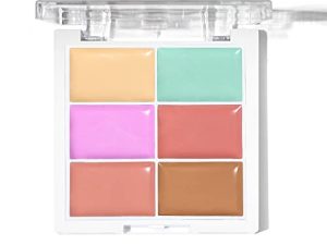 Professional Color Correcting Concealer Palette