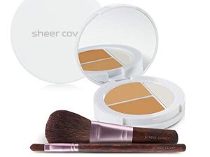 Sheer Cover – Flawless Face Kit – Perfect Shade Mineral Foundation – Conceal & Brighten Highlight Trio – with FREE Foundation Brush and Concealer Brush – Tan Shade – 4 Pieces