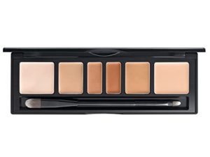 [JUNGSAEMMOOL OFFICIAL] Artist Concealer Palette (Skin) | Makeup Artist Brand | Color Corrector with Brush | Blemish Redness Dark Circles Cover Up
