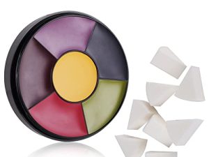 MEICOLY 6 Color Bruise Wheel for Special Effects