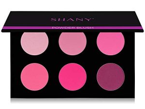 SHANY Shimmer & Matte Cool-Toned Blush Palette - Layer 5 - Refill for the 6 Layer Mini Masterpiece Collection Makeup Set