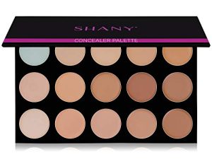 SHANY Masterpiece 15 Color Foundation