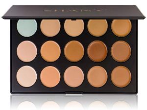 SHANY Professional Cream Foundation and Camouflage Concealer - 15 Color Palette