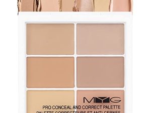 Professional Color Correcting Concealer Palette