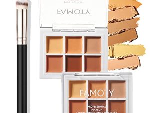 6 Color Correcting Concealer Palette With Concealer Brush